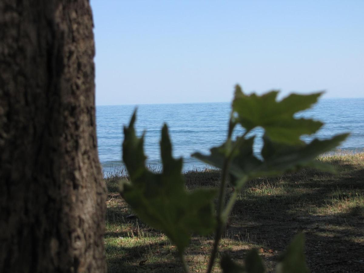 Hotel Hlidi Kókkinon Nerón Εξωτερικό φωτογραφία