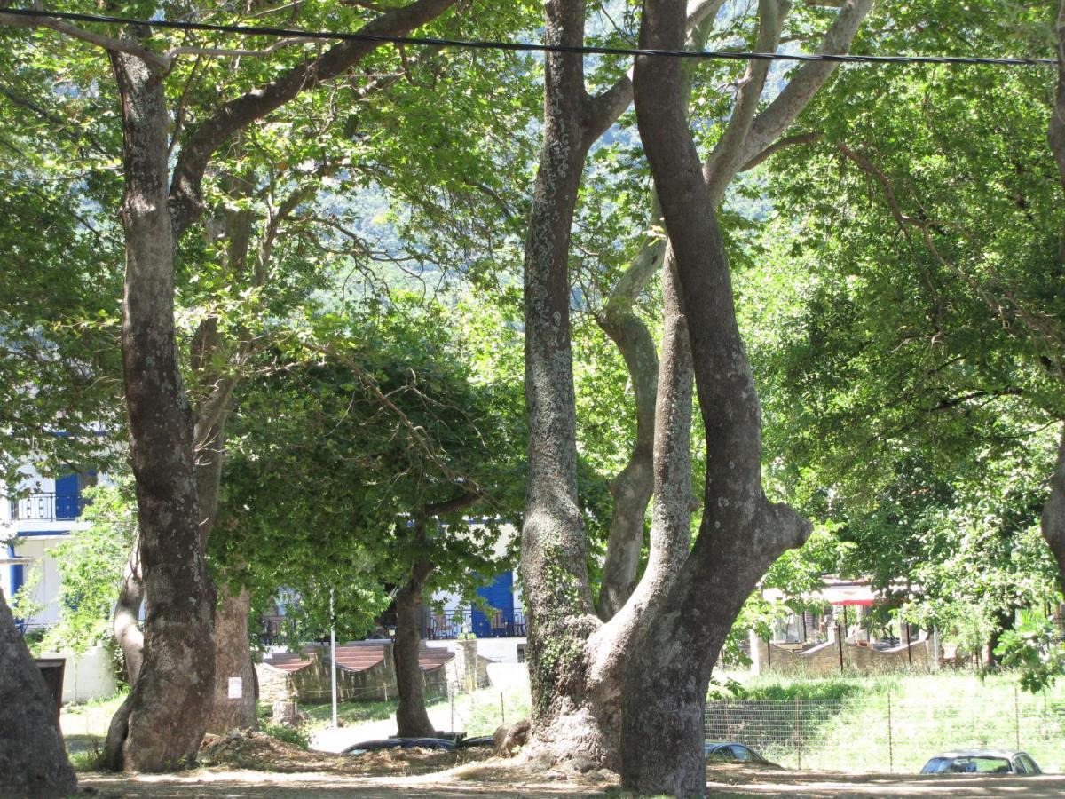 Hotel Hlidi Kókkinon Nerón Εξωτερικό φωτογραφία